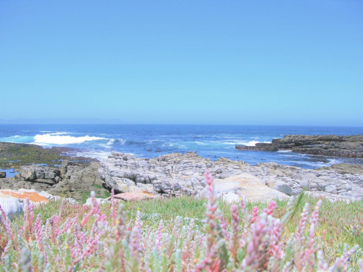 Willa Beachfront House - Hermanus Whale View Zewnętrze zdjęcie