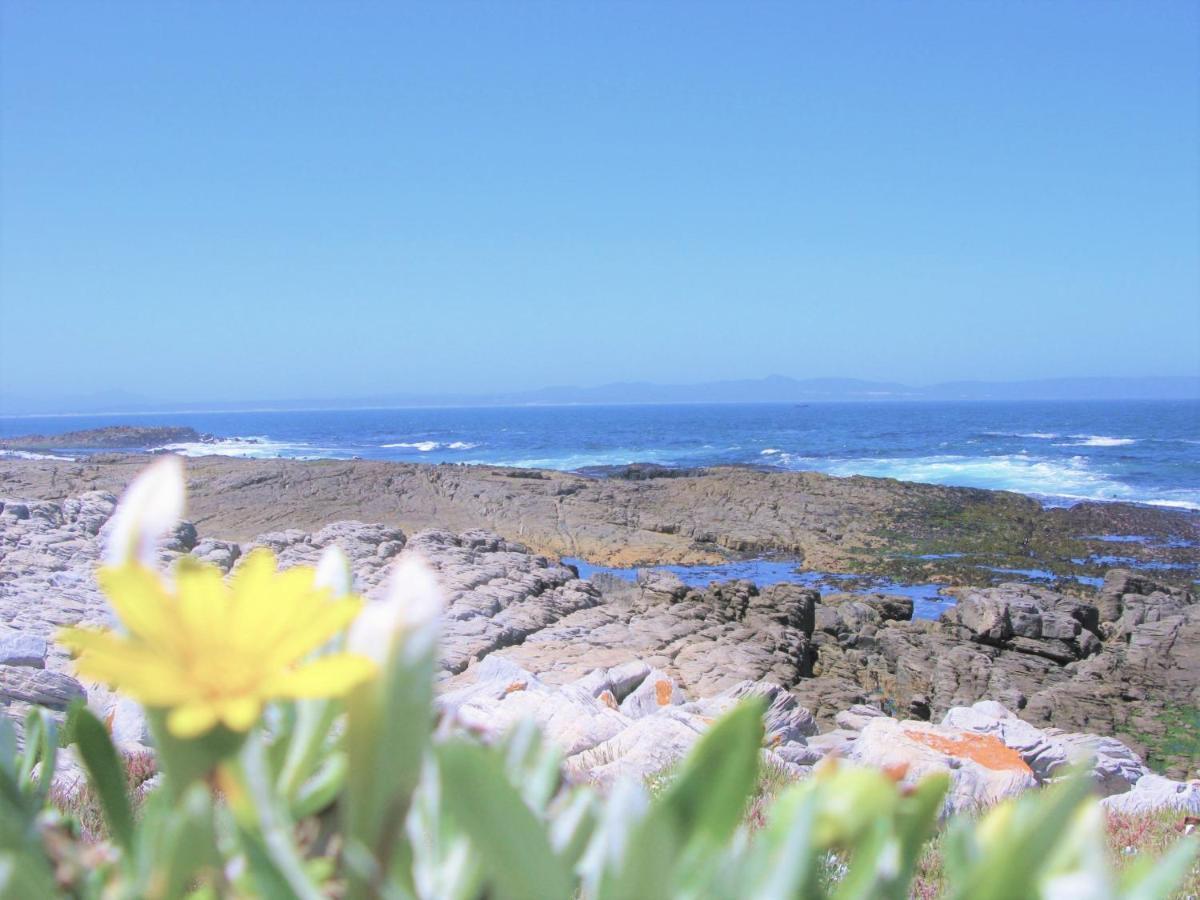 Willa Beachfront House - Hermanus Whale View Zewnętrze zdjęcie