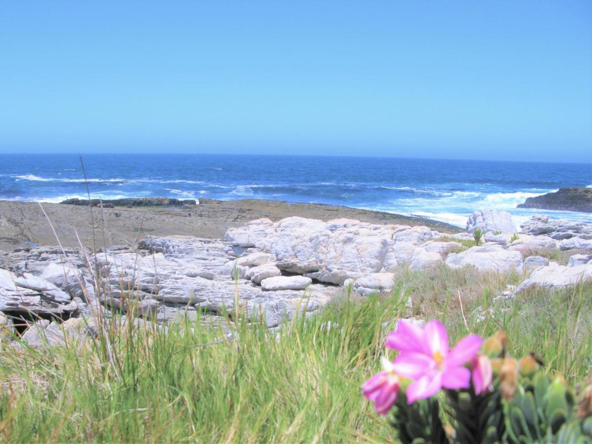 Willa Beachfront House - Hermanus Whale View Zewnętrze zdjęcie