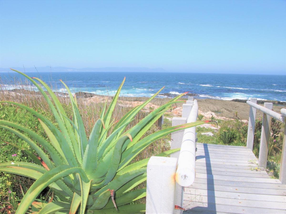 Willa Beachfront House - Hermanus Whale View Zewnętrze zdjęcie