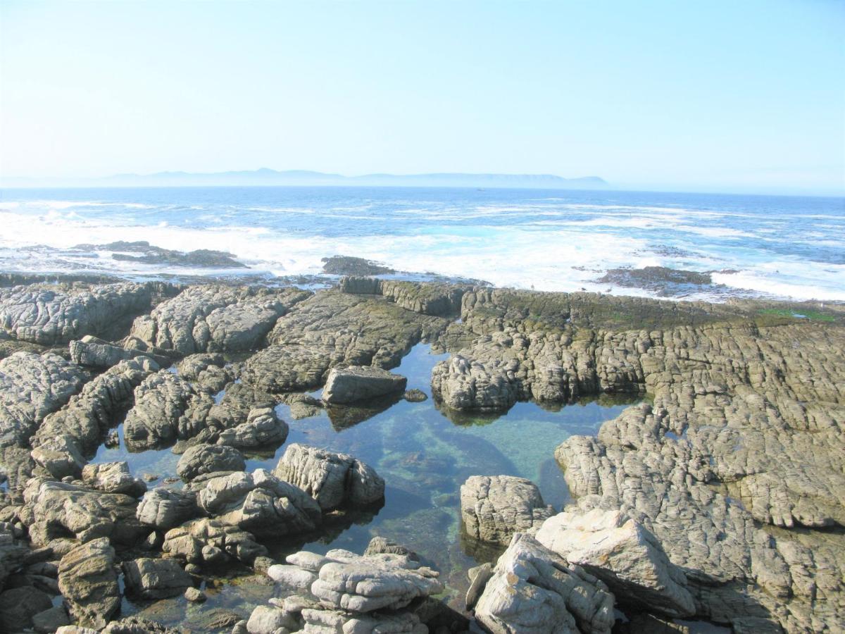 Willa Beachfront House - Hermanus Whale View Zewnętrze zdjęcie