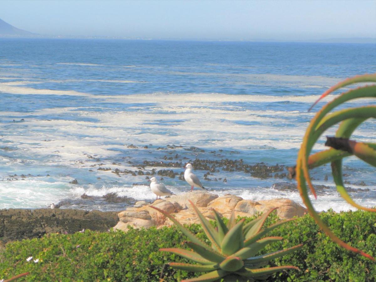 Willa Beachfront House - Hermanus Whale View Zewnętrze zdjęcie