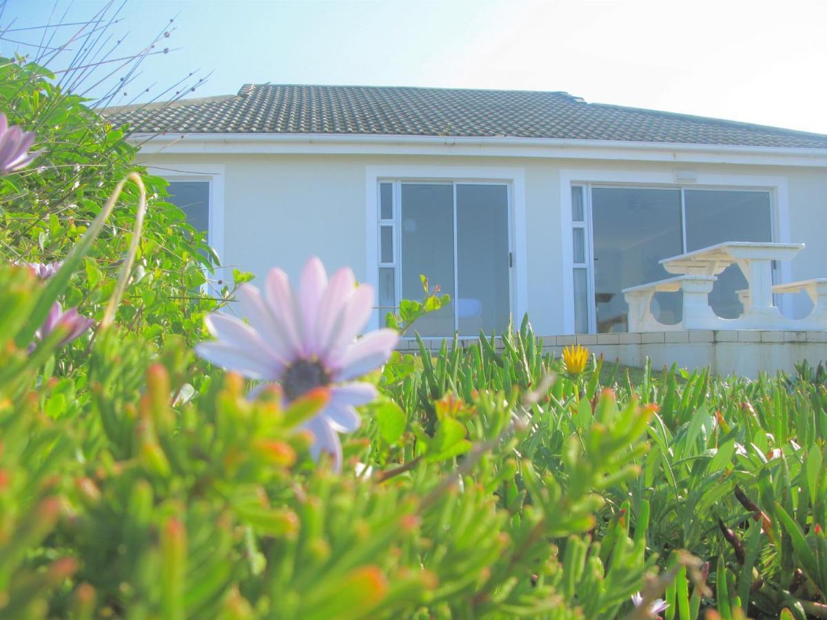 Willa Beachfront House - Hermanus Whale View Zewnętrze zdjęcie